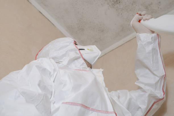 Best Residential Mold Remediation in Flowery Branch, GA